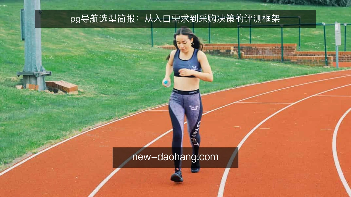 pg导航选型简报:从入口需求到采购决策的评测框架