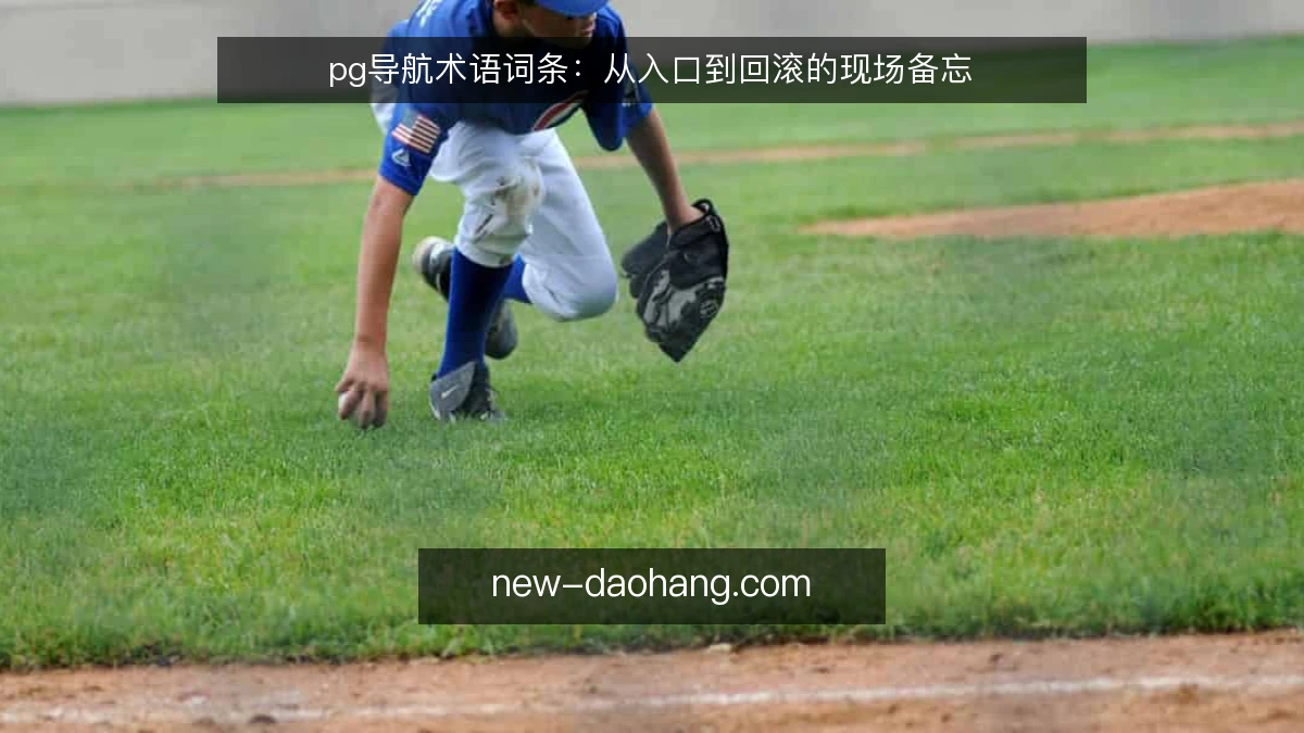 pg导航术语词条：从入口到回滚的现场备忘