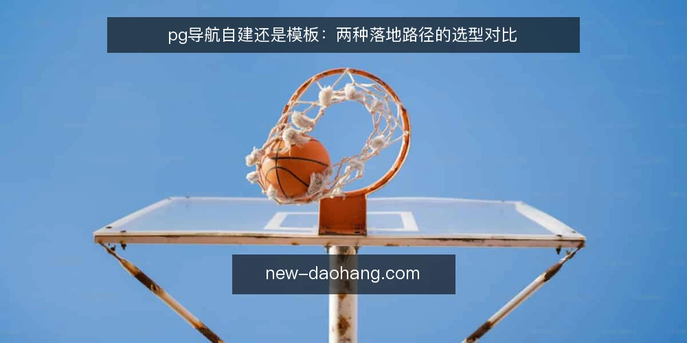 pg导航自建还是模板：两种落地路径的选型对比 — 选型前先明确三个决策维度 配图