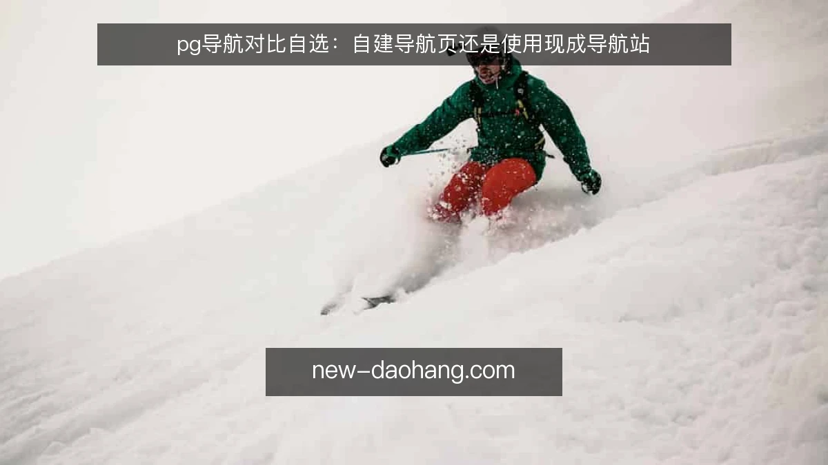 pg导航对比自选：自建导航页还是使用现成导航站