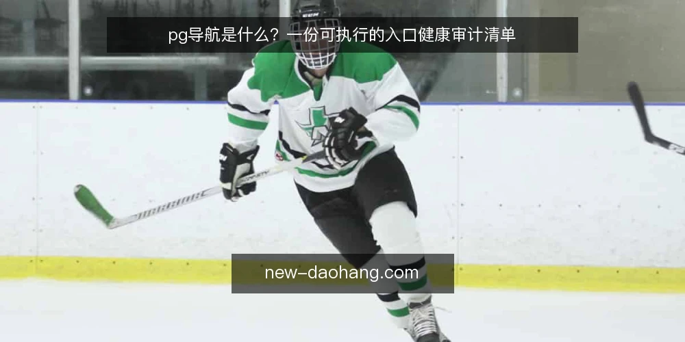 pg导航是什么？一份可执行的入口健康审计清单 — 为什么现在要审计你的导航入口 配图
