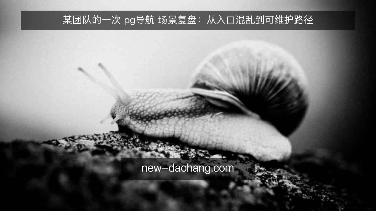 某团队的一次 pg导航 场景复盘:从入口混乱到可维护路径