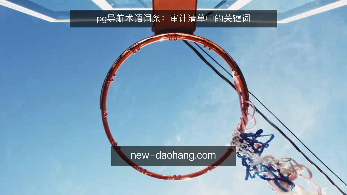 pg导航术语词条:审计清单中的关键词
