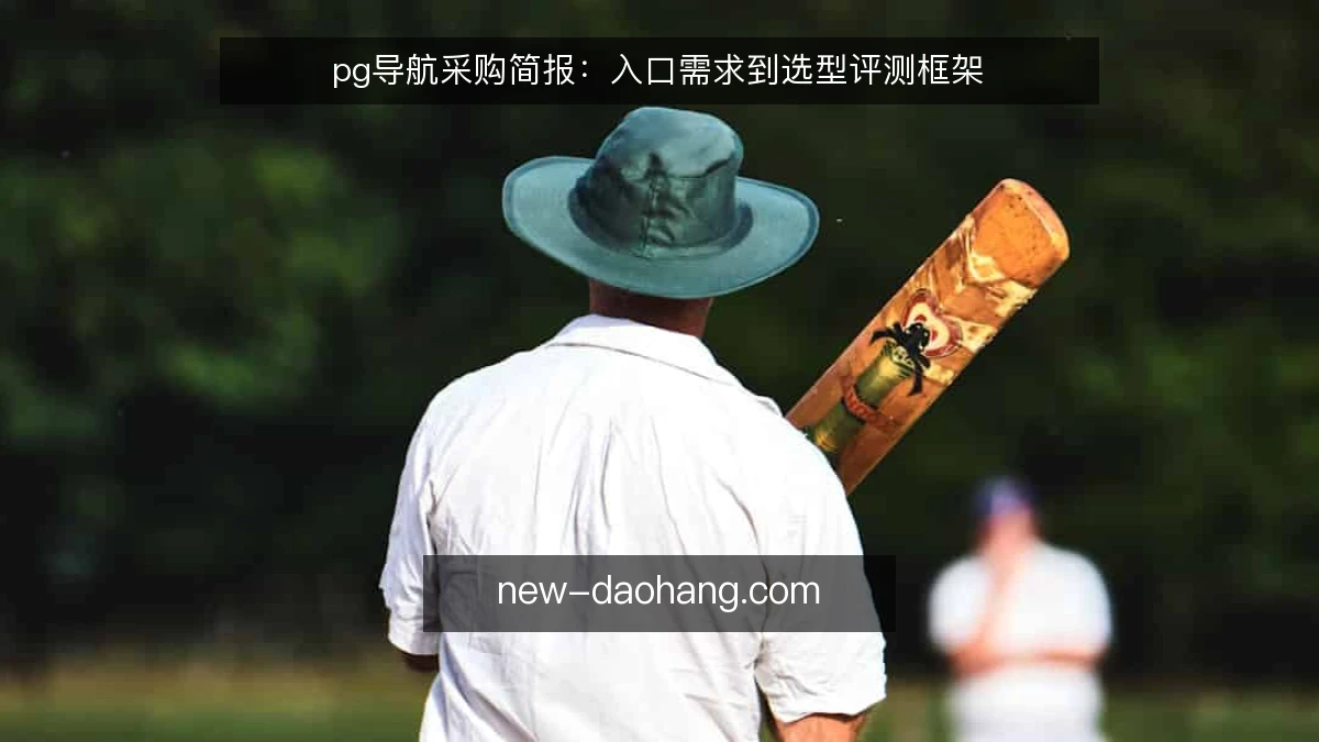 pg导航采购简报:入口需求到选型评测框架